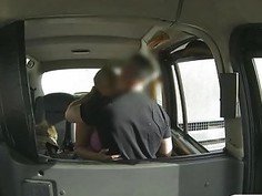 Huge knockers passenger banged in the backseat for free